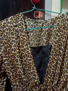 Leopard Print Fit &amp; Flare Dress