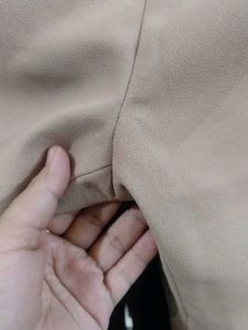 bottom wear. formal pant