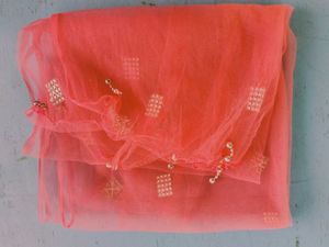 pink 🩷/green 💚 dupatta