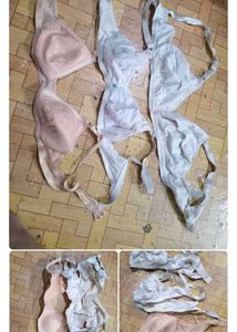 Pack of 3 Paded & Non-padded Bras