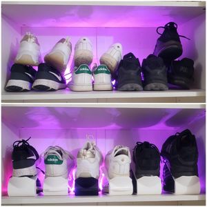 Shoe Organizer With Pull Tab