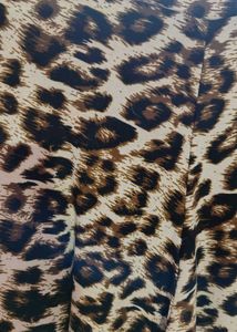 Leopard Print Wide Leg Palazzo