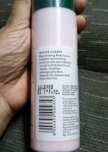 Biotique Winter Cherry Rejuvenating Body Lotion