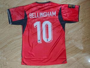 Embroidery World Cup edition all size available