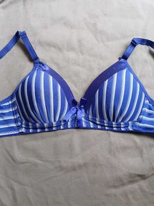Blue Striped Padded Bra