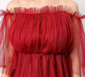 Chic Off-Shoulder Tulle Top