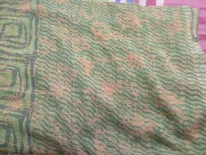 Beautiful Leaf Print Saree