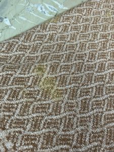 Faux furrry muddy color shawl