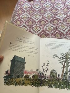 Roald Dahl The Twits Book