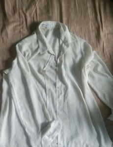 Mango Shirt