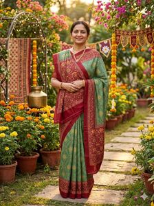beautiful saree