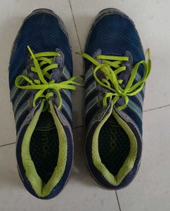 Adidas Climacool Running Shoes