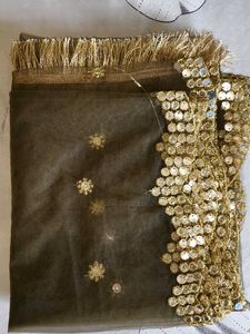 Embellished Net Dupatta