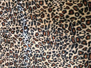 Tiger Print Georgette Top Never Used