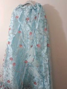 Embroidered Lehenga Skirt