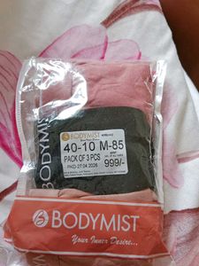 Bodymist Briefs (Medium)