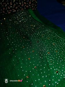Elegant Green Embellished Saree💚
