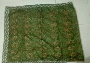Eyecatcher Green Net saree