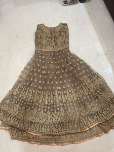 Designer Embroidered wedding gown pestal colour