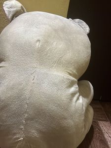 Teddy