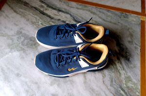 Unisex Blue Sports Shoes
