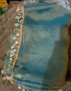 Stylish Shimmery Saree