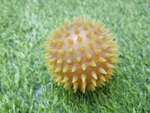 pack of 6 Balls (sponge &amp; plastic)