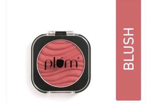 Plum Cheek-A-Boo Matte Blush- One In Melon
