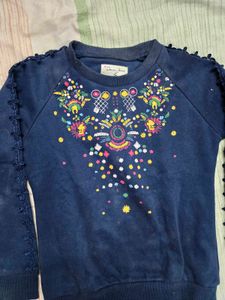 Blue Embroidered Sweatshirt