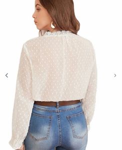 Elegant Sheer Dotted Blouse