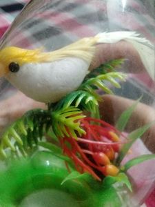 Bird showpiece glass