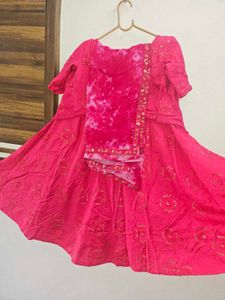 rani Pink Embroidered with sequins Lehenga Choli S
