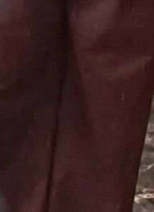 Brown Wide Leg Pleated Pants