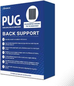 Pug Back Support (Pack of 1) | The Ultimate Soluti