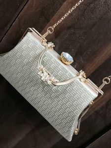 Elegant Clutch with Chain Strap