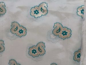 Elegant White Saree with Teal Border wit