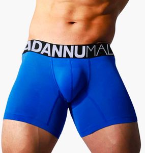 Blue Boxer Briefs with Logo Waistband