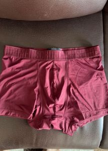 Mens Trunk
