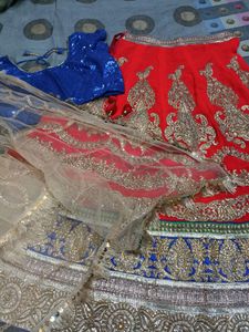 Wedding Season Special Lehanga