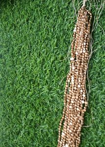 Creativity with Aari Dull Gold Beads - Ideas and Inspiration Half/Itly Shap Beads (3mm