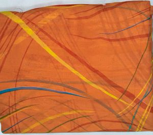 Designer Printed Saree
