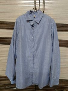 Blue Striped Shirt