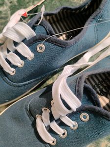 Canvas Blue Shoes