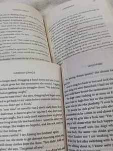 Icebreaker &amp; Wildfire Books by Hannah Grace