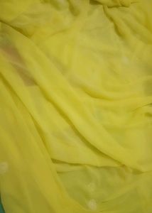 Yellow Embroidered chicken kari saree