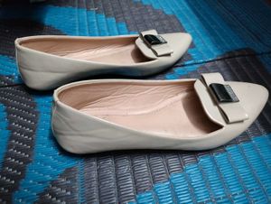 Chic Pointed Toe Ballet Flats
