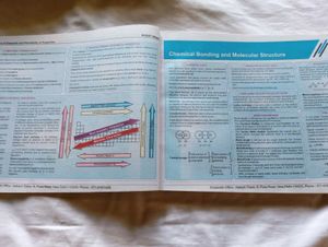 Botany NCERT Maps for NEET