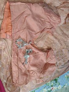 Elegant Peach Lace Saree with Gold Accents
