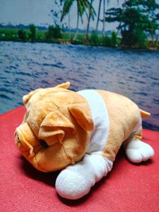 Cute Pig Plush Toy