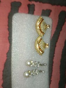 Elegant Pair of Earrings